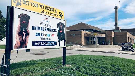 Animal Services Agency