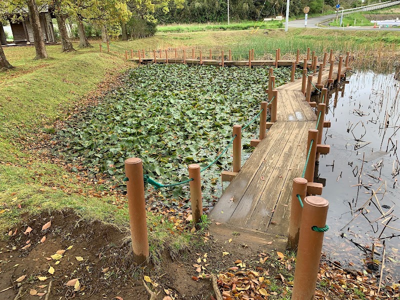 公園散策池（橘ふれあい公園）