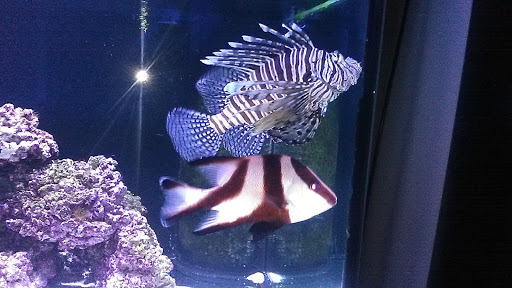 Aquarium «Aquatica», reviews and photos, 800 Clanton Rd H, Charlotte, NC 28117, USA