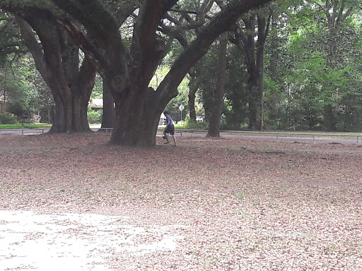 Golf Course «Osceola Municipal Golf Course», reviews and photos, 300 Tonawanda Dr, Pensacola, FL 32506, USA