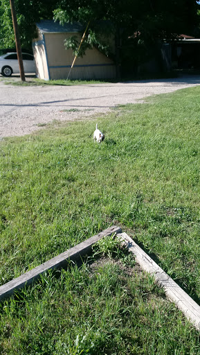 Park «Buckner Park», reviews and photos, 4550 Worth St, Dallas, TX 75246, USA