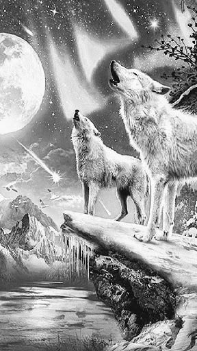 Shopping Mall «Base-Mar Shopping Center», reviews and photos, 2450 Baseline Rd, Boulder, CO 80305, USA