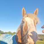 Photo n°2 de l'avis de Beethoven. fait le 24/09/2022 à 02:27 sur le  Hotel Restaurant Gästehaus Wilgersdorf GmbH à Wilnsdorf