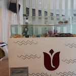 Photo n°6 de l'avis de Jorge.i fait le 23/08/2021 à 15:46 sur le  Restaurante Tulipa à Pego