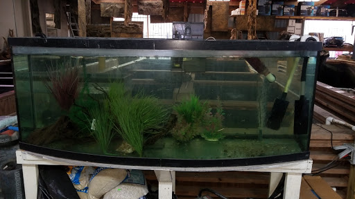 Pet Store «Fish-N-Pets Unlimited», reviews and photos, 11710 Bissonnet St, Houston, TX 77099, USA