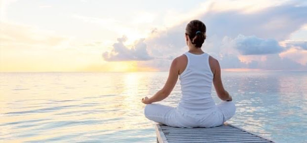 Tree of Life, Malahide Holistic Centre - Tree of Life, Malahide Holistic Centre