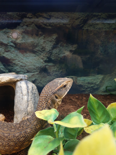 Pet Supply Store «Petco Animal Supplies», reviews and photos, 205 SE 5th St, Ames, IA 50010, USA