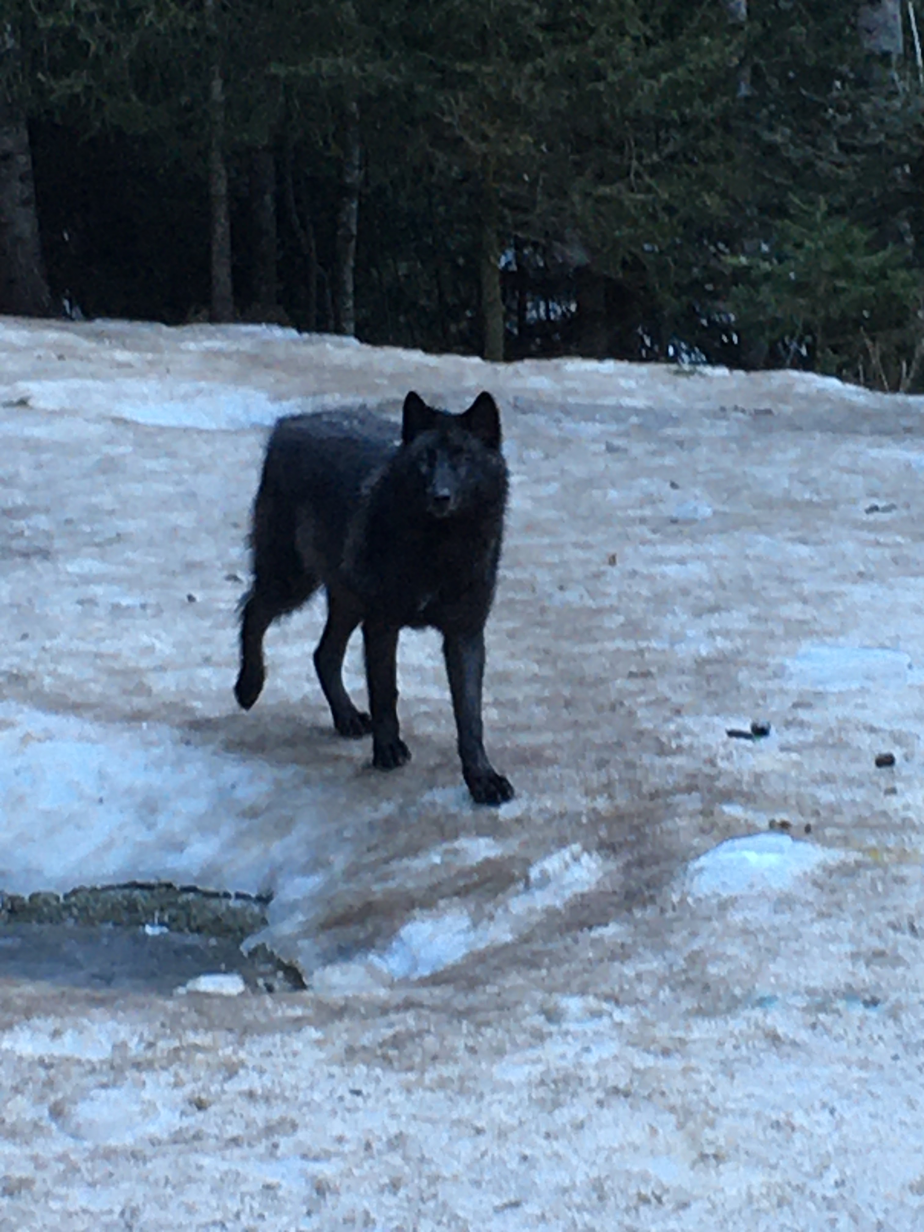 Photo n° 1 de l'avis de Soba.a fait le 28/12/2019 à 07:25