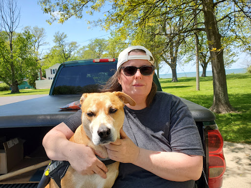 Lake Shore Animal Hospital image