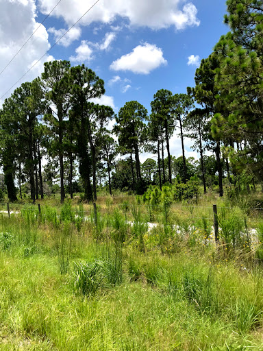 Nature Preserve «Duette Preserve», reviews and photos, 2649 Rawls Rd, Parrish, FL 34219, USA