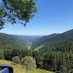 Photo n° 1 de l'avis de Jérôme. fait le 29/06/2019 à 12:29 pour La Graine Johé SARL à Le Bonhomme