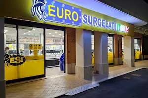 Euro Surgelati Italia image
