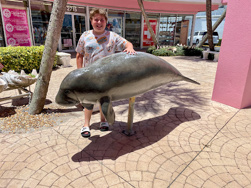 Gift Shop «Big Shark», reviews and photos, 2715 N Atlantic Ave, Daytona Beach, FL 32118, USA