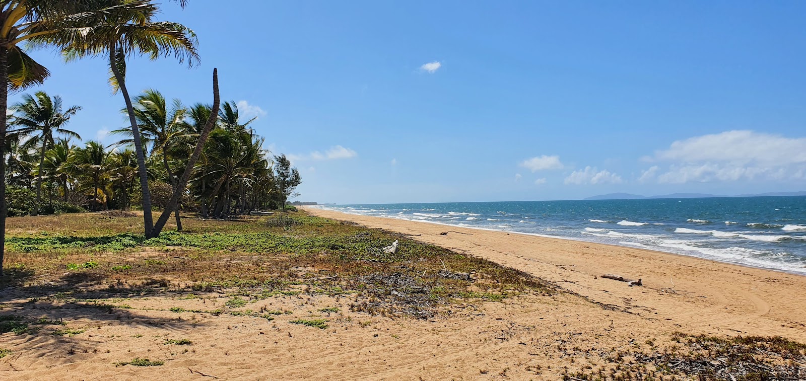 Foto de Forrest Beach con arena beige superficie