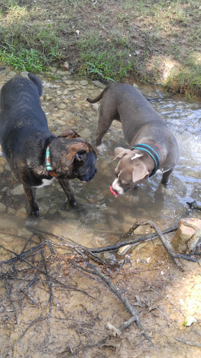 Park «Suggs Park», reviews and photos, 163 E South St, Collierville, TN 38017, USA