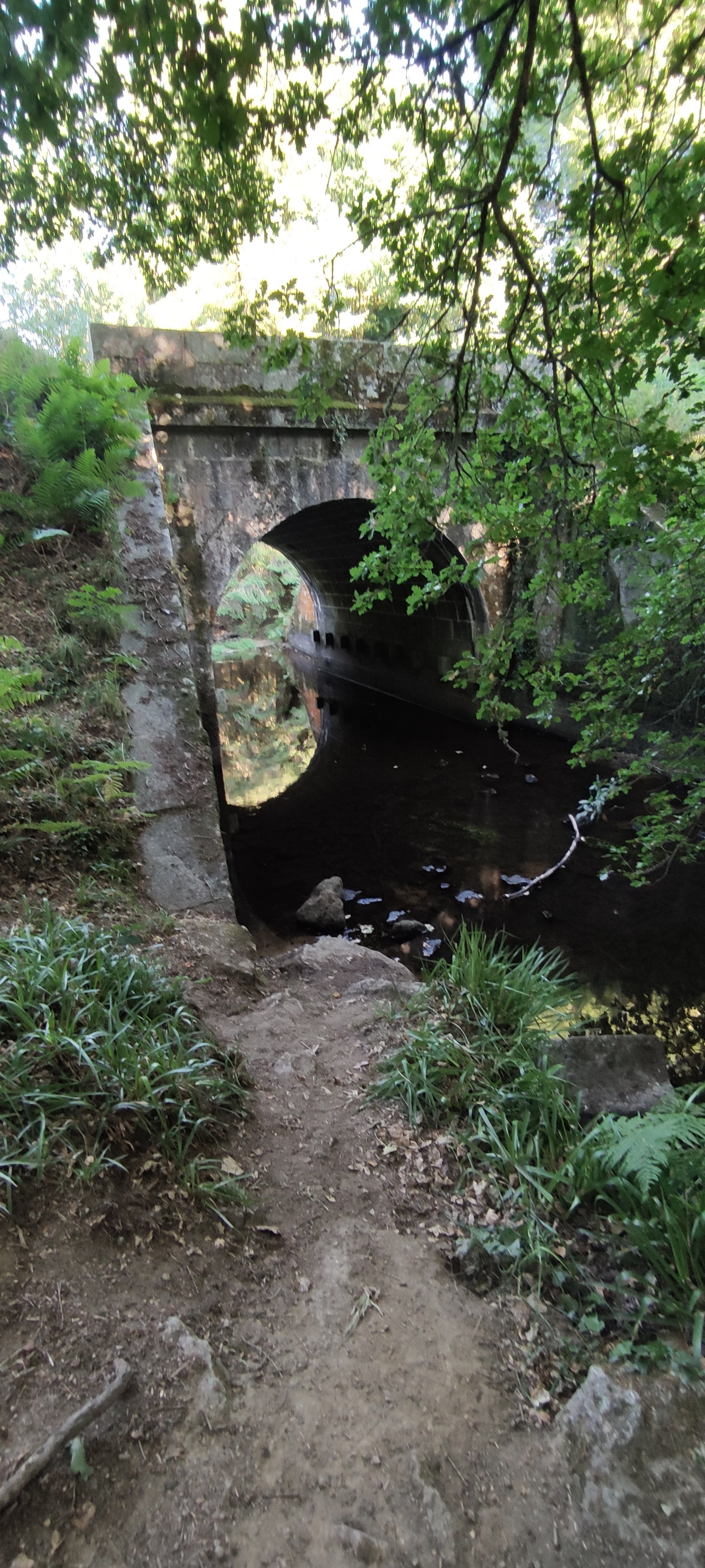 Photo n° 1 de l'avis de YO. fait le 11/08/2022 à 18:15