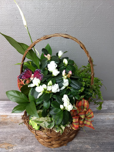 Florist «Eureka Florist», reviews and photos, 524 Henderson St, Eureka, CA 95501, USA