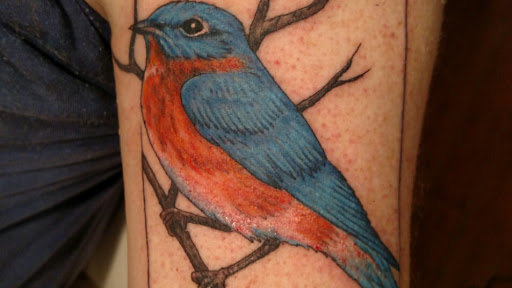 Explore lion chest tattoo ideas, creative tattoo ideas in Woodstock, available at Ed Dempsey Tattoo Company