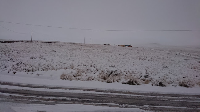 Grifo Tasahuayo - Gasolinera