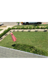 Luis Landscaping - Photo 5 - Car repair in , Glendale