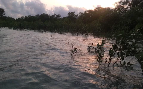 Sundarban Wildlife Tour image