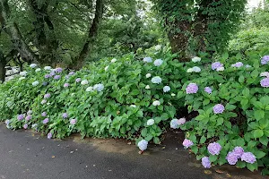 Suidoyama Park image