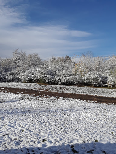 Homeless Shelter «Twin City Mission Bridge», reviews and photos