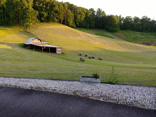 National Forest «Pisgah National Forest», reviews and photos, 1600 Pisgah Highway, Nebo, NC 28761, USA