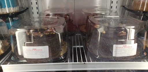 Ice Cream Shop «Cold Stone Creamery», reviews and photos, 15 Blake Blvd, Kissimmee, FL 34747, USA