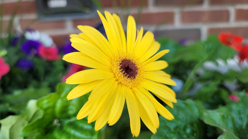 Supermarket «Price Chopper», reviews and photos, 1220 Storrs Rd, Storrs, CT 06269, USA