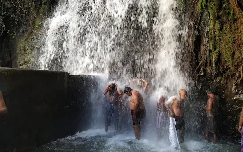 Agasthiyar Falls image
