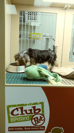 Pet Store «Petland», reviews and photos, 920 Hebron Rd, Heath, OH 43056, USA
