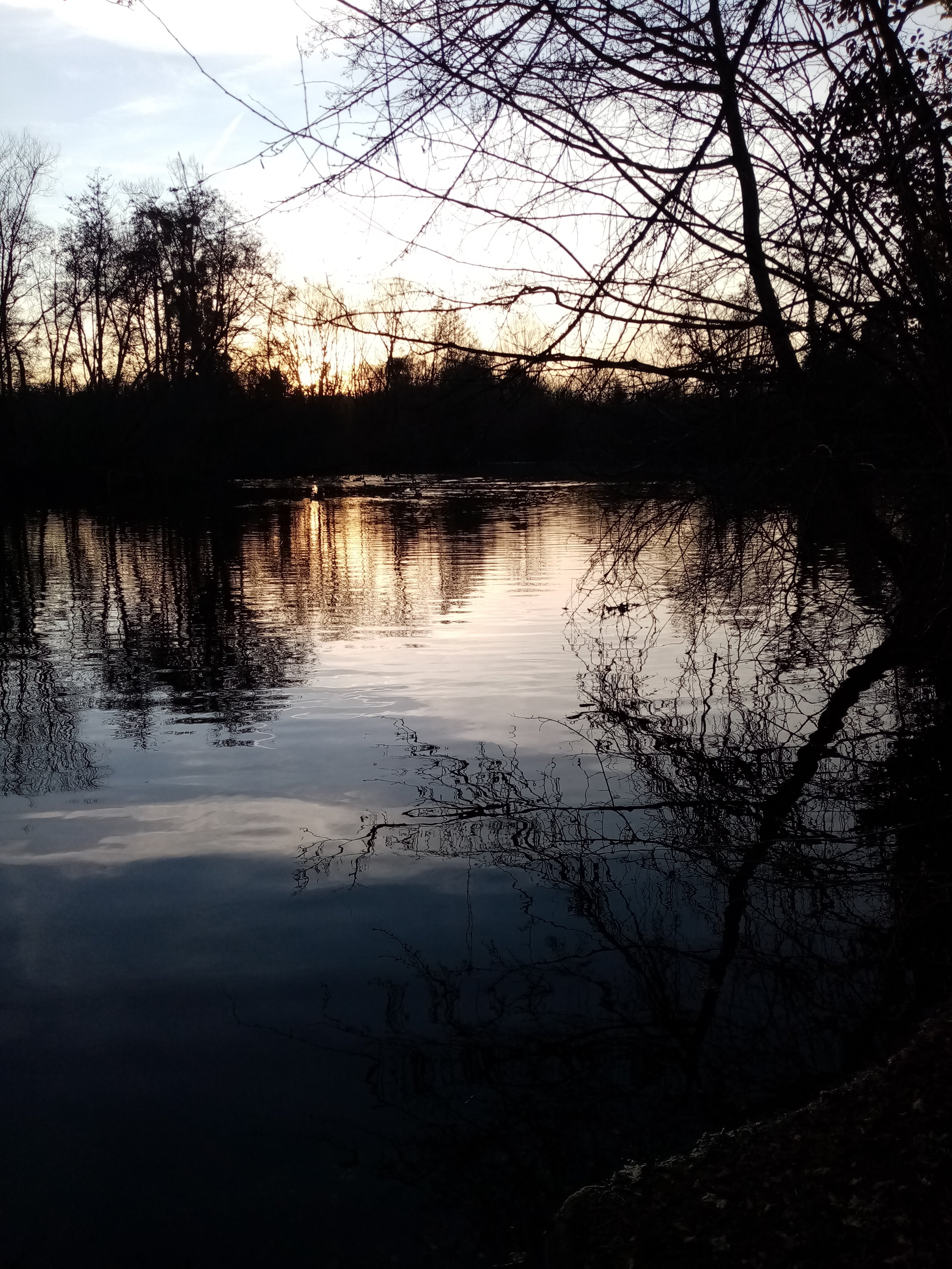 Photo n° 3 de l'avis de Isabelle.E fait le 07/03/2019 à 14:30