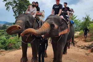 ปางช้างนพรัตน์(Nopparat Elephant camp) image