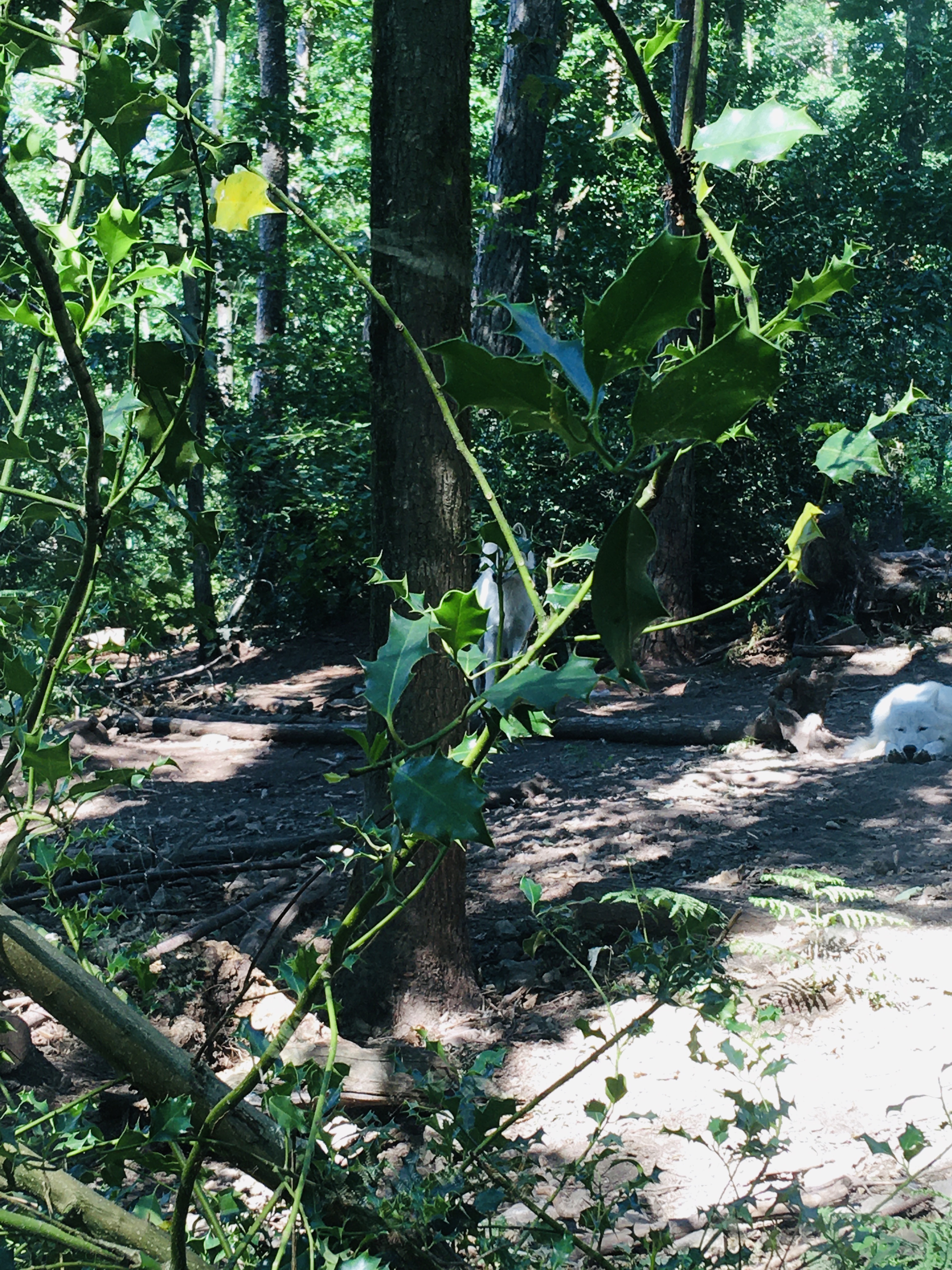 Photo n° 4 de l'avis de Kad.o fait le 12/07/2020 à 13:08