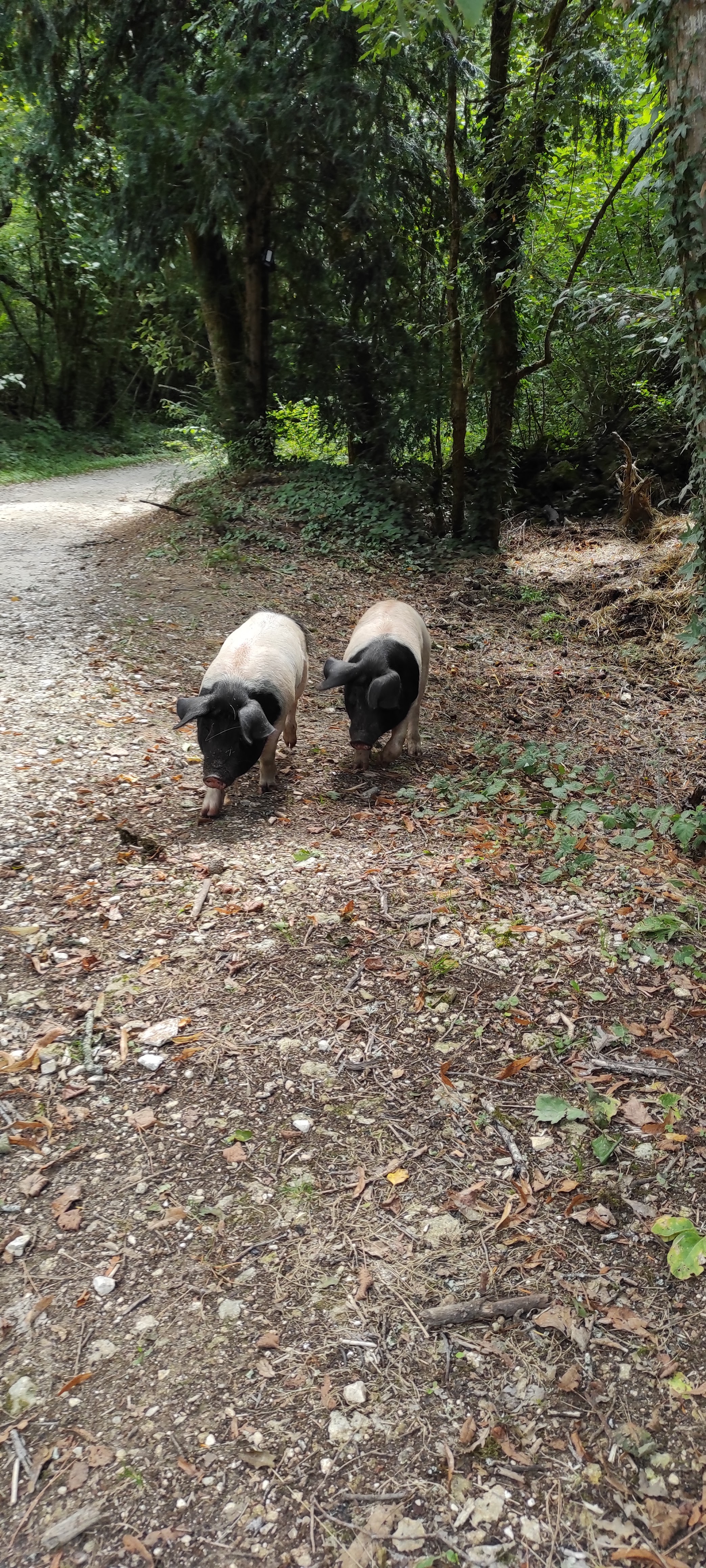 Photo n° 5 de l'avis de Claire.a fait le 06/08/2023 à 15:10