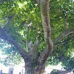 Photo n°6 de l'avis de Michael.a fait le 31/08/2019 à 20:07 sur le  Restaurant Spindler mit Chocolaterie (ca. Nov-Mai) à Forst an der Weinstraße