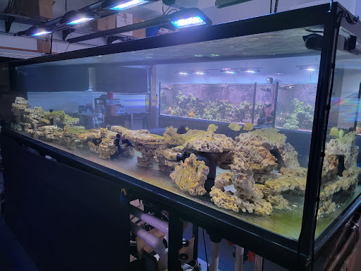 Tropical Fish Store «Glasscages.com LLC», reviews and photos, 1500 E Piney Rd, Dickson, TN 37055, USA