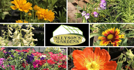 Allyson's Gardens