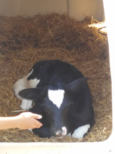 State Park «Great Brook Farm State Park», reviews and photos, 165 N Rd, Carlisle, MA 01741, USA