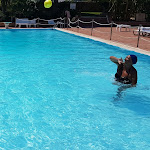 Photo n°8 de l'avis de Livia.u fait le 14/08/2018 à 16:20 sur le  Villa Favorita, Hotel Et Resort à Marsala