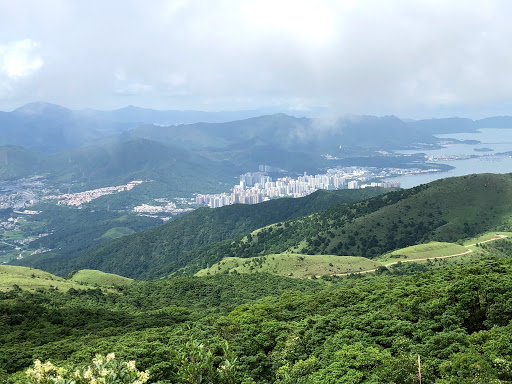 Tai Mo Shan Country Park