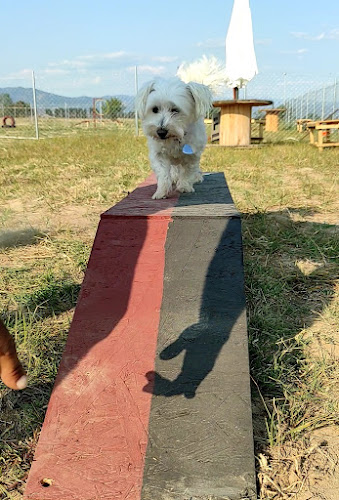 "Άργος" Εκπαίδευση Σκύλων - Πάρκο Εκτόνωσης - Καβάλα