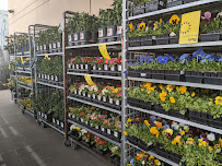 The Home Depot - Photo 7 - Car repair in South Salt Lake, UT, Salt Lake City