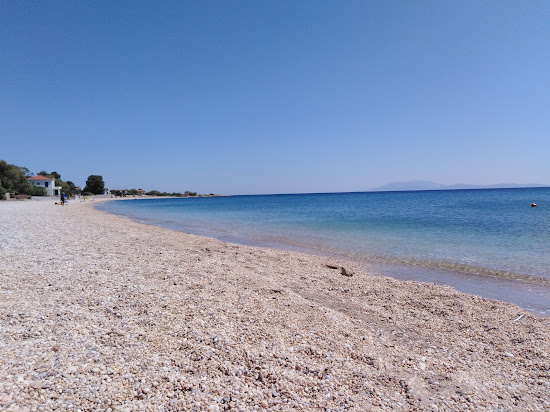Plomari beach