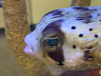 Clayton Aquarium Corporation - Photo 9 - Car repair in Bellevue, WA, Bellevue