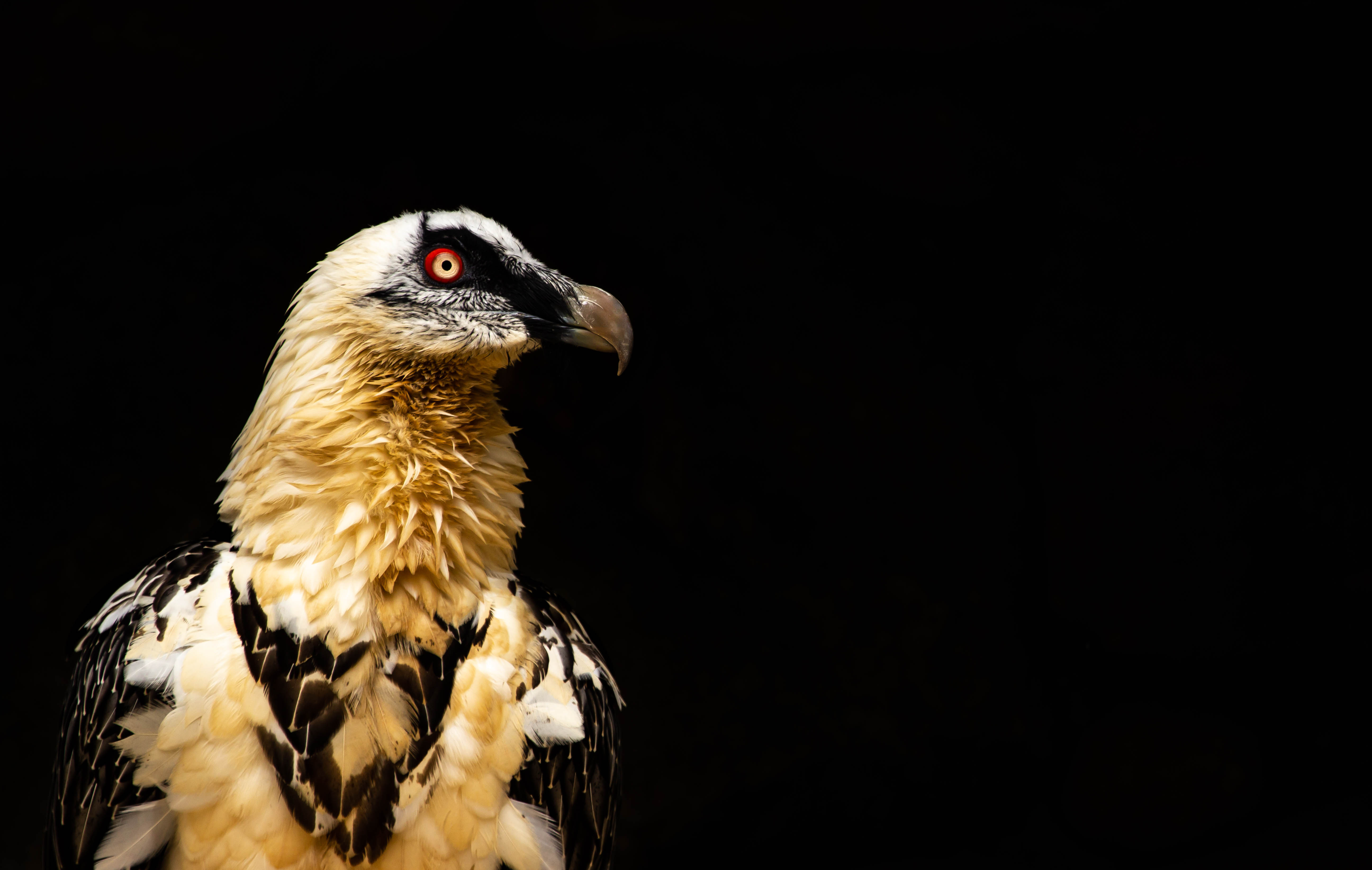 Photo n° 10 de l'avis de Tim.n fait le 11/01/2022 à 18:54