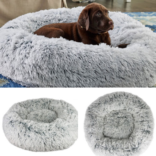 Pet Supply Store «Wag Pet Market LLC», reviews and photos, 2703 N Proctor St, Tacoma, WA 98407, USA