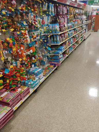 Pet Supply Store «PetSmart», reviews and photos, 21032 S Ellsworth Loop, Queen Creek, AZ 85142, USA