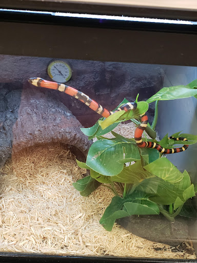 Pet Supply Store «Petco Animal Supplies», reviews and photos, 1331 Hooper Ave, Toms River, NJ 08753, USA